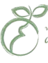 Logo verloskundige praktijk de Toekomst