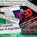 Logo Minor De Staat van de Wereld HU
