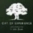 Logo The Gift Of Experience