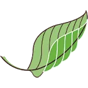 Logo Bureau Natuurbalans - Limes Divergens
