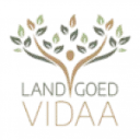 Logo Vidaa
