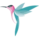 Logo Kolibrie Next