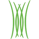 Logo Messor