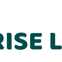 Logo RISELENS