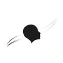 Logo Fast Lane Vitality
