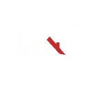 Logo DS Beheer