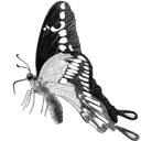 Logo Dagjeindenatuur