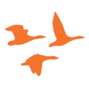 Logo Anser