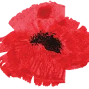 Logo Flauwers by Anne