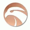 Logo van Copper Bird International