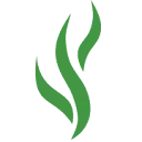 Logo COmON Foundation