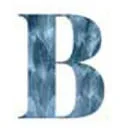 Logo Bladendokter