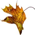 Logo Grafrust.nl