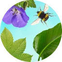 Logo Sprinklr Planten