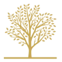 Logo Nobilis Advies