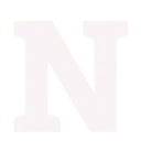 Logo Nolaon Industries