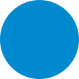 Logo Il Viso