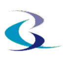 Logo Byzonder consultancy BV