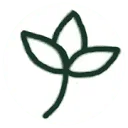 Logo Study Association Nobis Cura Futuri