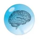 Logo Research Institute Brainclinics
