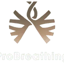 Logo ProBreathing.nl