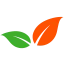 Logo Dutch Green
