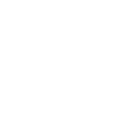 Logo Flamingo Flowers AND Plants Netherlands