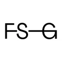 Logo FSG International Financial Program IFP