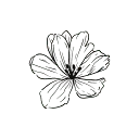 Logo Verheij Oefentherapie