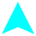 Logo PIPPO Amsterdam Sportswear