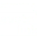 Logo the sustainable link