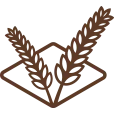 Logo Markus AND Markus Stroopwafels B.V.