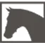 Logo Drunens Ruiterhuis