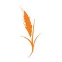 Logo BoulangerieTeam