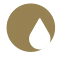 Logo Senergy Solutions B.V.
