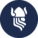 Logo VIKINGLEADS