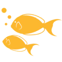Logo Ready to Fish