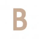 Logo Bye Bra