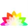 Logo van Van der Wilt Gerbera's