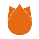 Logo leernederlands.nl
