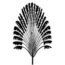 Logo KYBOE Symons AND Panchenko
