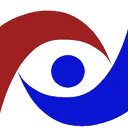 Logo DSS Accountants AND Belastingadviseurs