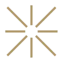 Logo Anker Professionals