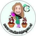 Logo C'est la vie for you