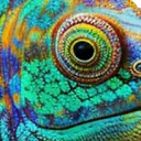 Logo ficklefish