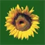 Logo IJzerlo's Landschap
