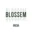 Logo Blossem Breda