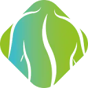 Logo Belangenvereniging Patiënten Chiropractie