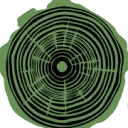 Logo Oak Sport