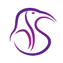 Logo IBIS Management Associates